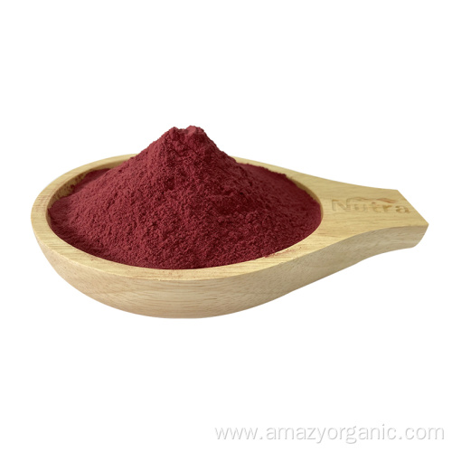 Nutritional Supplement Organic Beet Root Juice Powder